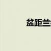 盆距兰组（关于盆距兰组介绍）