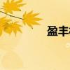 盈丰村（关于盈丰村介绍）