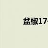 盆椒17号（关于盆椒17号介绍）
