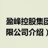 盈峰控股集团有限公司（关于盈峰控股集团有限公司介绍）