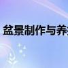 盆景制作与养护（关于盆景制作与养护介绍）