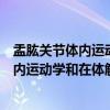 盂肱关节体内运动学和在体解剖学的研究（关于盂肱关节体内运动学和在体解剖学的研究介绍）