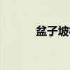 盆子坡村（关于盆子坡村介绍）