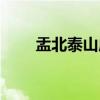 盂北泰山庙（关于盂北泰山庙介绍）