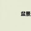 盆景工（关于盆景工介绍）