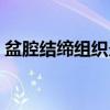 盆腔结缔组织炎（关于盆腔结缔组织炎介绍）