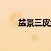 盆景三皮丝（关于盆景三皮丝介绍）