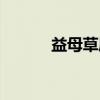 益母草属(关于益母草属介绍) 益母草属(关于益母草属介绍)