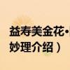 益寿美金花·固穷妙理（关于益寿美金花·固穷妙理介绍）