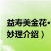 益寿美金花·清虚妙理（关于益寿美金花·清虚妙理介绍）