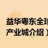 益华粤东全球购产业城（关于益华粤东全球购产业城介绍）