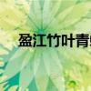 盈江竹叶青蛇（关于盈江竹叶青蛇介绍）