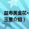 益寿美金花·返观三景（关于益寿美金花·返观三景介绍）