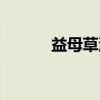 益母草汤（关于益母草汤介绍）