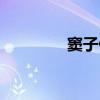窦子偁（关于窦子偁介绍）