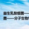 益生乳酸细菌——分子生物学及生物技术（关于益生乳酸细菌——分子生物学及生物技术介绍）