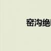 窑沟绝唱（关于窑沟绝唱介绍）