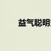 益气聪明丸（关于益气聪明丸介绍）