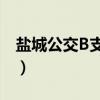 盐城公交B支1路（关于盐城公交B支1路介绍）