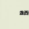 盏西镇（关于盏西镇介绍）