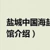 盐城中国海盐博物馆（关于盐城中国海盐博物馆介绍）