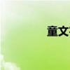 童文宇（关于童文宇介绍）
