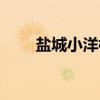 盐城小洋楼（关于盐城小洋楼介绍）