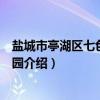 盐城市亭湖区七色花幼儿园（关于盐城市亭湖区七色花幼儿园介绍）