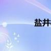 盐井村（关于盐井村介绍）
