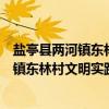 盐亭县两河镇东林村文明实践志愿服务队（关于盐亭县两河镇东林村文明实践志愿服务队介绍）