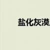 盐化灰漠土（关于盐化灰漠土介绍）