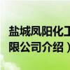 盐城凤阳化工有限公司（关于盐城凤阳化工有限公司介绍）