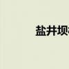 盐井坝村(关于盐井坝村介绍) 盐井坝村(关于盐井坝村介绍)