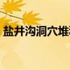 盐井沟洞穴堆积（关于盐井沟洞穴堆积介绍）