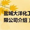 盐城大洋化工有限公司（关于盐城大洋化工有限公司介绍）