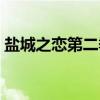 盐城之恋第二季（关于盐城之恋第二季介绍）