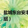 盐城东台安丰古镇（关于盐城东台安丰古镇介绍）