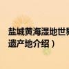 盐城黄海湿地世界自然遗产地（关于盐城黄海湿地世界自然遗产地介绍）