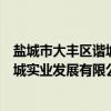 盐城市大丰区谐城实业发展有限公司（关于盐城市大丰区谐城实业发展有限公司介绍）