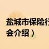 盐城市保险行业协会（关于盐城市保险行业协会介绍）