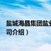 盐城海晶集团盐业有限公司（关于盐城海晶集团盐业有限公司介绍）