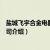 盐城飞宇合金电器有限公司(关于盐城飞宇合金电器有限公司介绍) 盐城飞宇合金电器有限公司(关于盐城飞宇合金电器有限公司介绍)