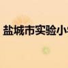 盐城市实验小学（关于盐城市实验小学介绍）