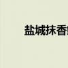 盐城抹香鲸（关于盐城抹香鲸介绍）