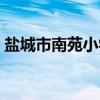 盐城市南苑小学（关于盐城市南苑小学介绍）
