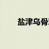 盐津乌骨鸡（关于盐津乌骨鸡介绍）