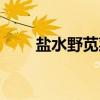 盐水野苋菜（关于盐水野苋菜介绍）