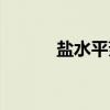 盐水平菇（关于盐水平菇介绍）