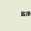 盐泽化（关于盐泽化介绍）