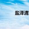 盐泽清宣（关于盐泽清宣介绍）